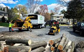 Best Tree Removal  in Lake Worth, TX