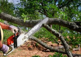 Best Storm Damage Tree Cleanup  in Lake Worth, TX