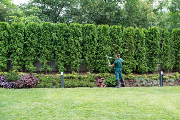 Best Lawn Grading and Leveling  in Lake Worth, TX