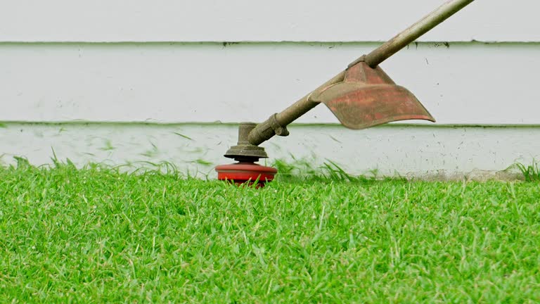 Best Lawn Grading and Leveling  in Lake Worth, TX