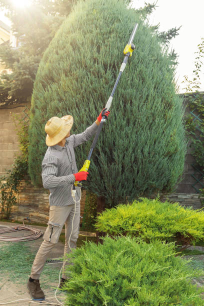 Best Arborist Consultation Services  in Lake Worth, TX